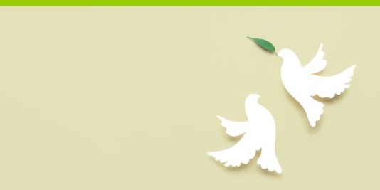 2 weiße Tauben auf beigem Hintergrund