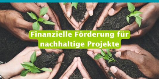 Viele Hände halten Erde mit kleinen Setzlingen darin, dazu der Text: Finanzielle Förderung für nachhaltige Projekte