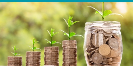 Münzen sind in Türmen aufeinandergestapelt, die Türme werden von links nach rechts höher und oben wachsen Pflanzen aus ihnen heraus.